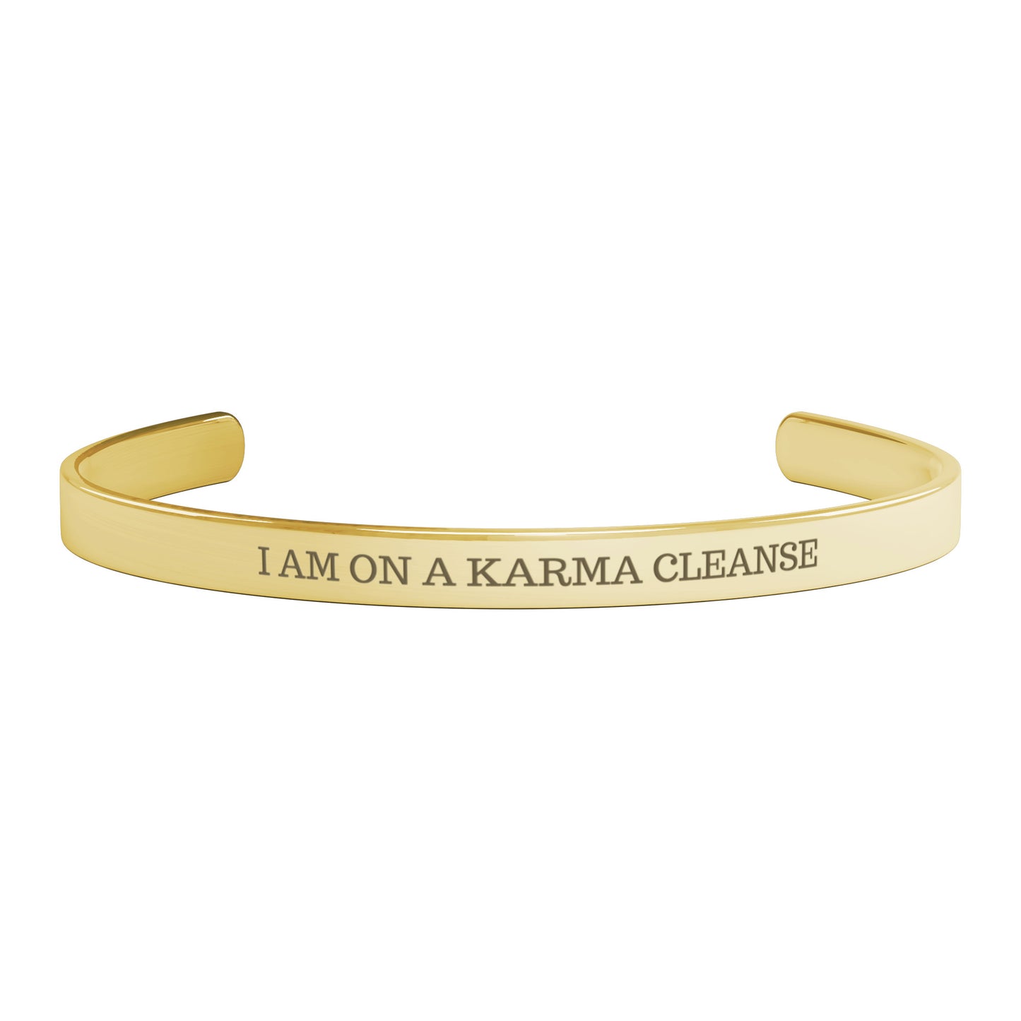 I AM ON A KARMA CLEANSE